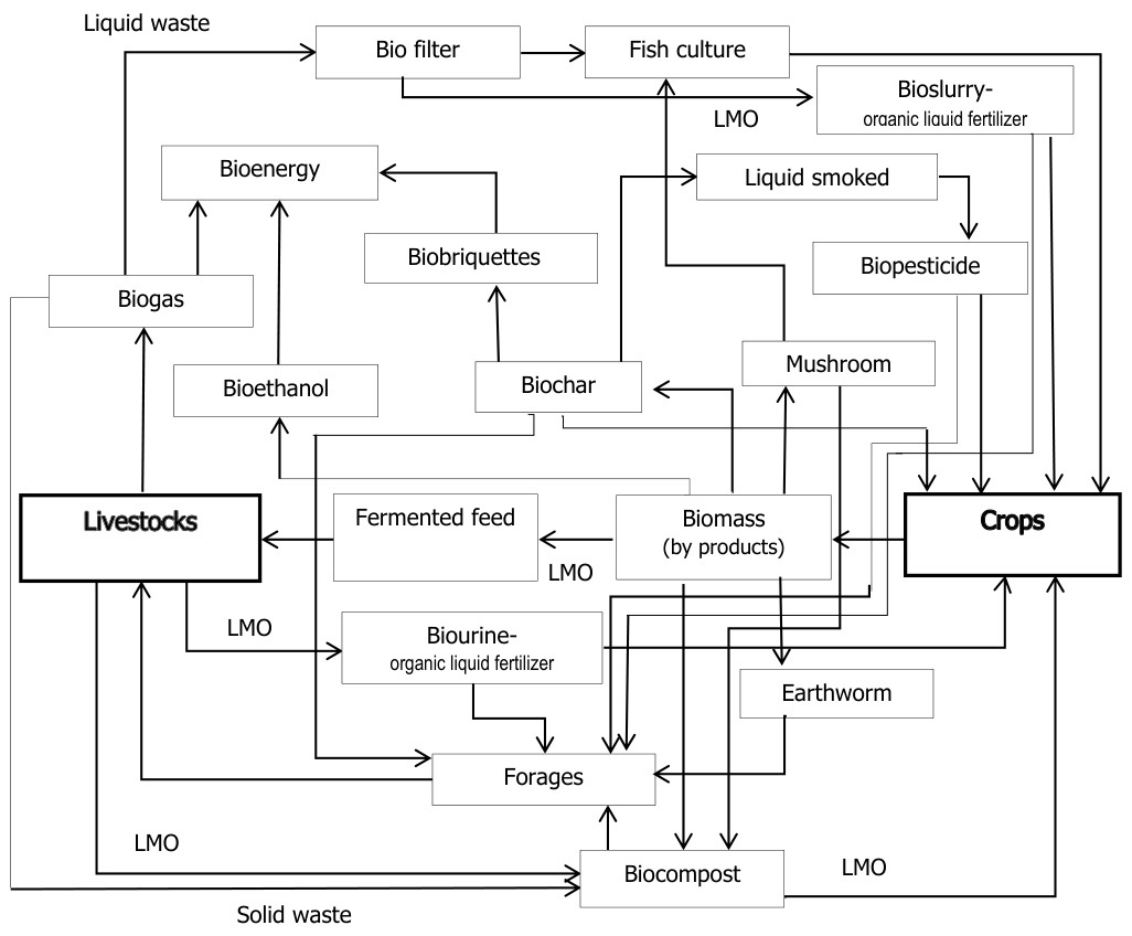 bio cyclic