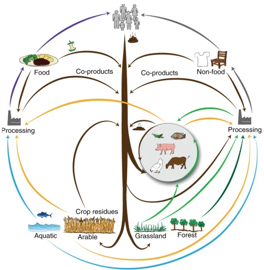 biocyclic