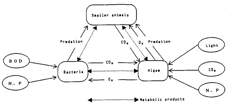 biocyclic