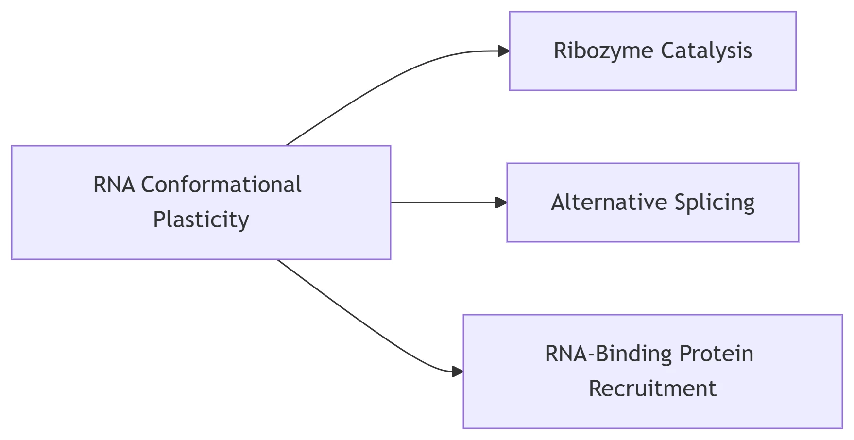 RNA Functional Versatility
