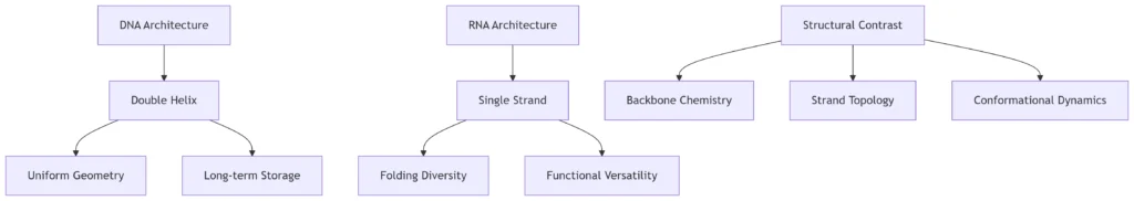 Structural Summary Diagram