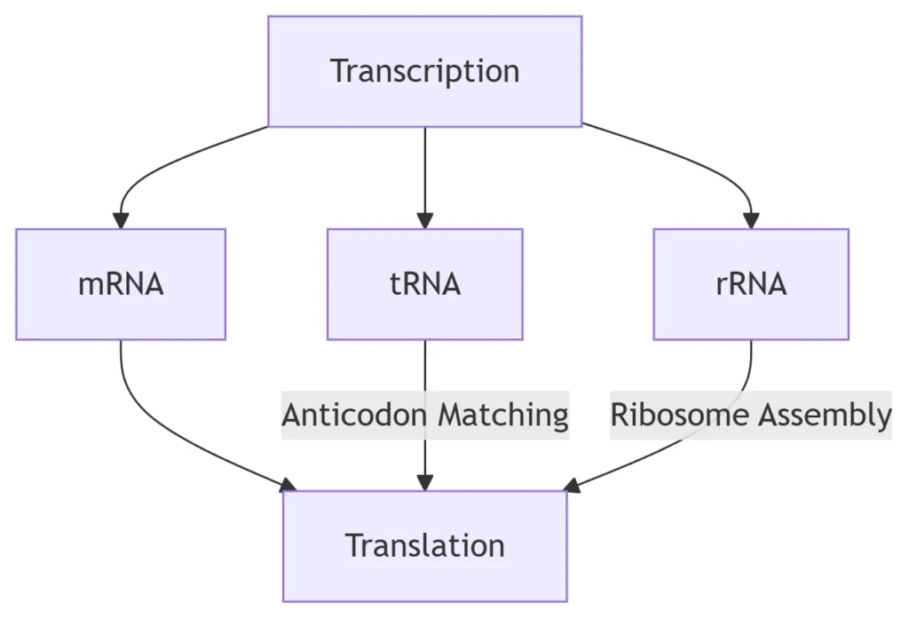 Information Flow Pathways