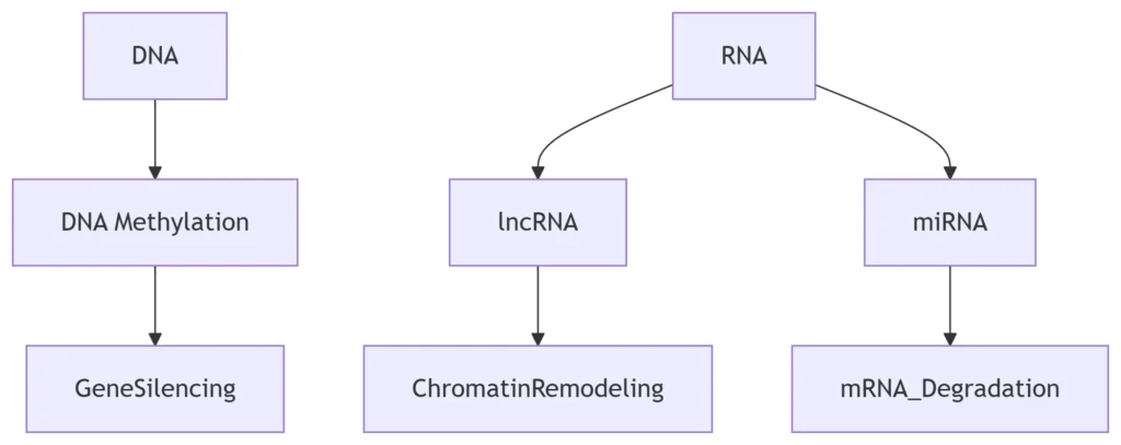 Regulatory Hierarchies