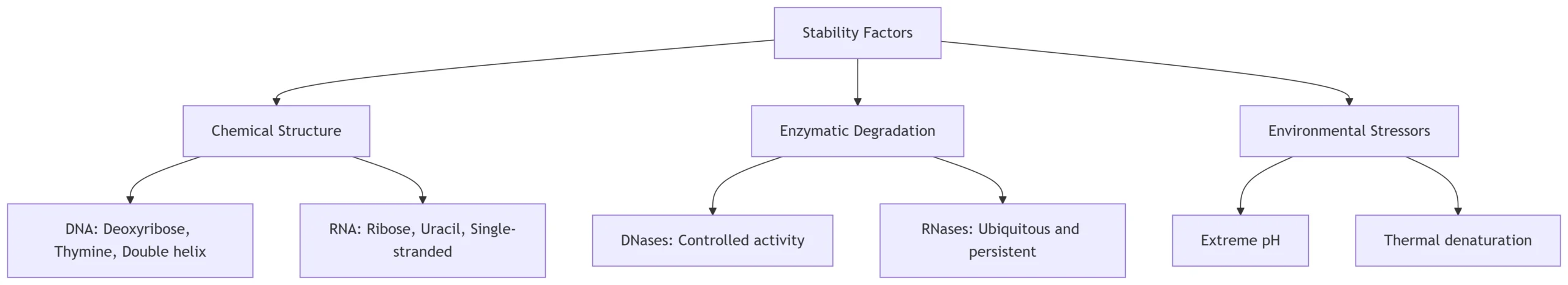 An Integrated Analysis with Structural Visualizations
