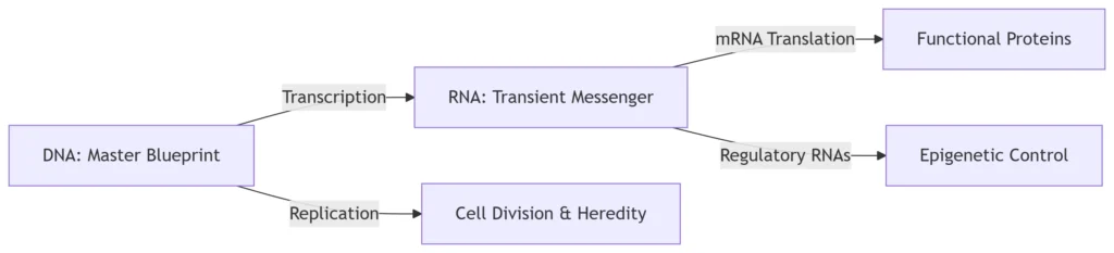 A Comprehensive Analysis of Their Complementary Roles
