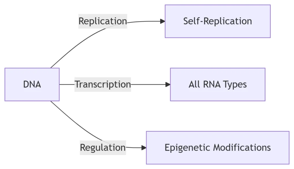 DNA Core Functions