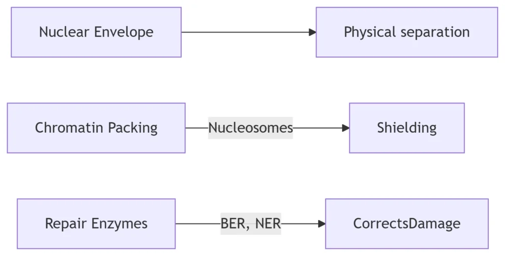 DNA Protection Systems