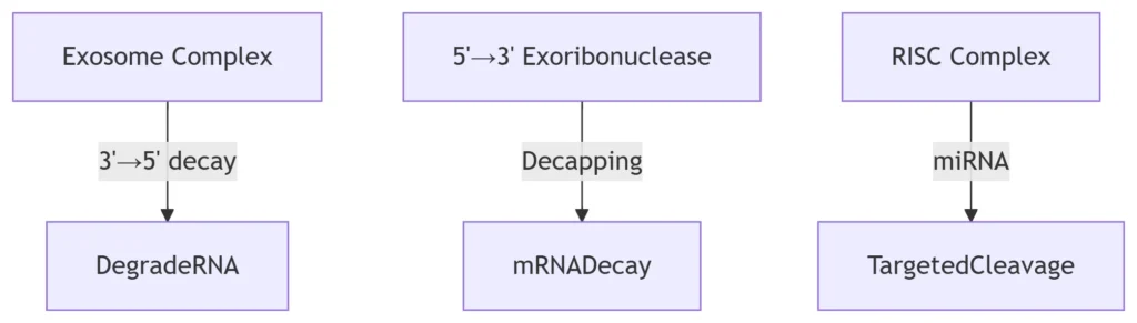 RNA Surveillance Pathways