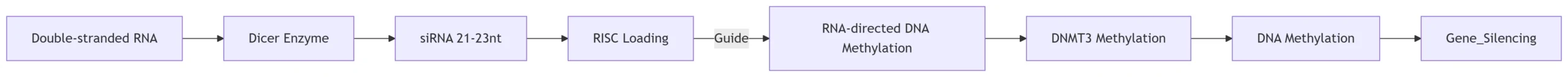 RNA Interference (RNAi) Pathway
