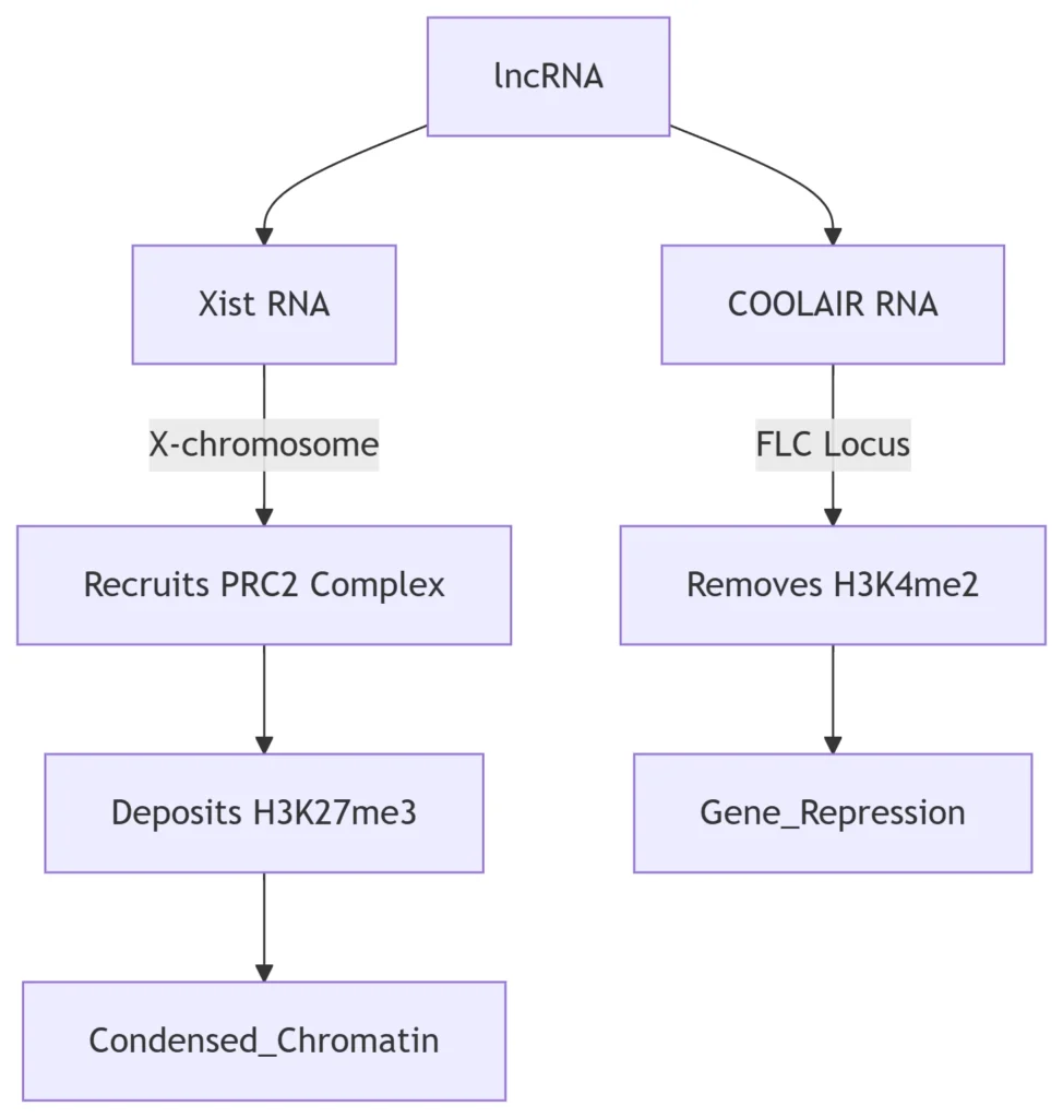 Chromatin Remodeling Mechanisms
