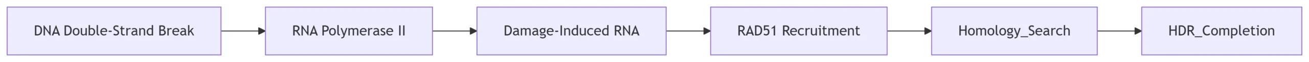 RNA-Directed DNA Repair