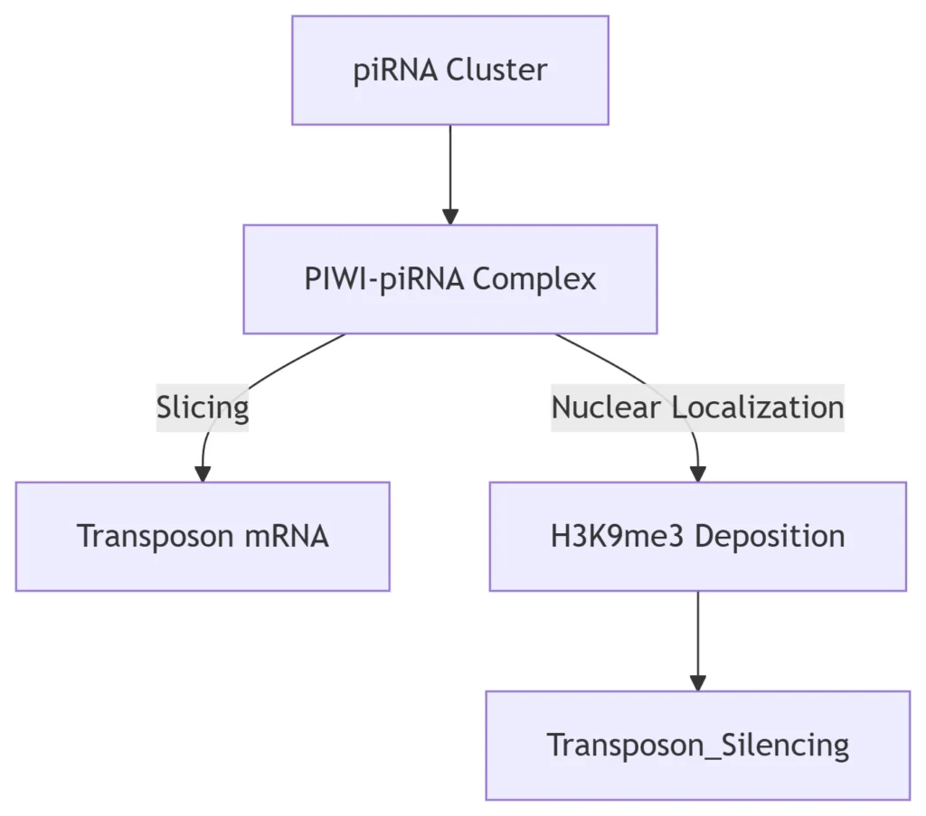 piRNA Pathway in Germline