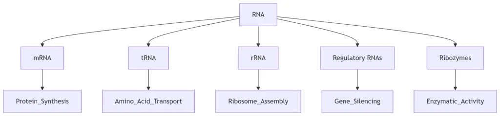 RNA Functional Diversity