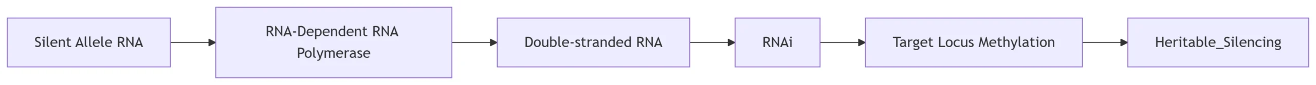 RNA-Mediated Epigenetic Memory RNA-Mediated Epigenetic Memory