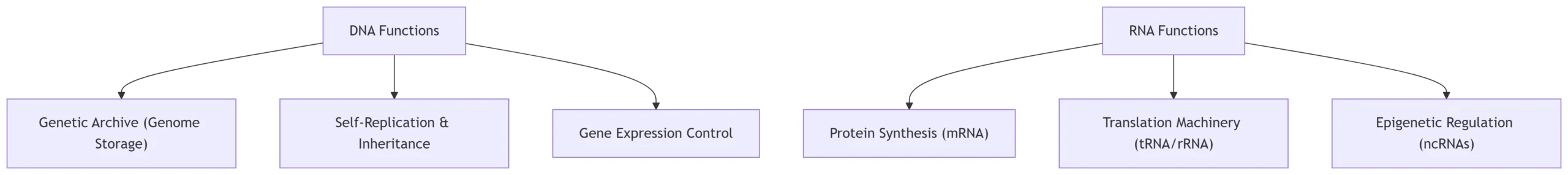 A Comparative Functional Analysis with Integrated Visualizations