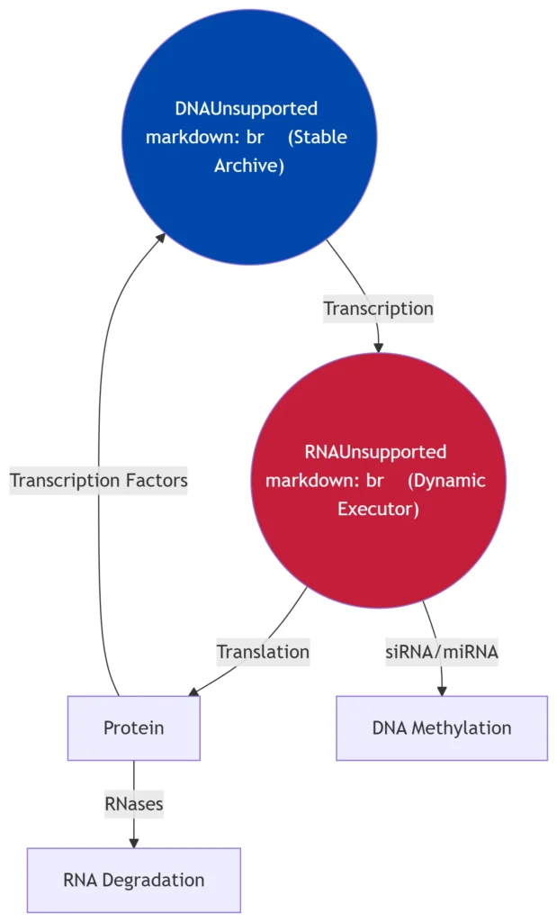 Functional Interdependence Diagram