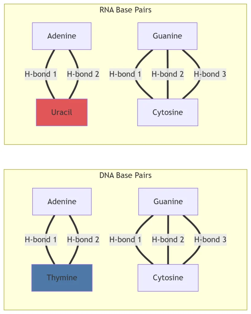Hydrogen Bonding Patterns