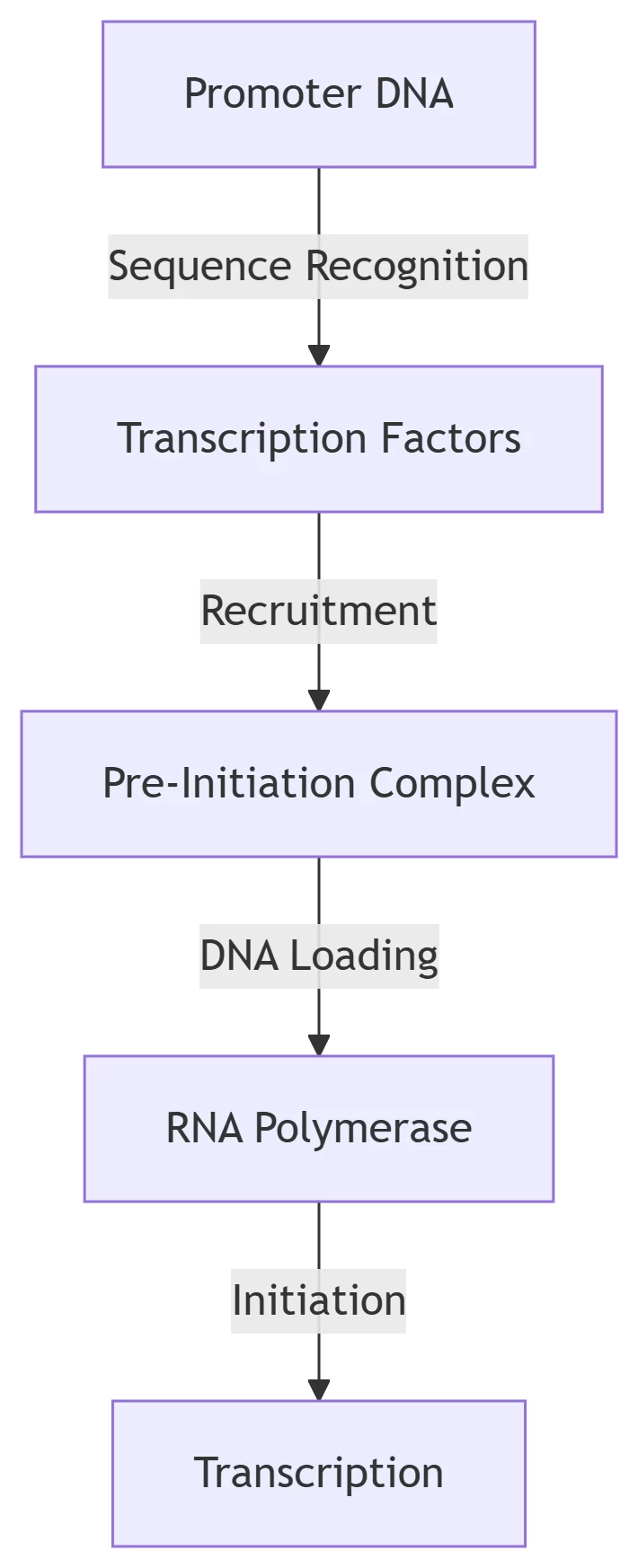 A Structural and Functional Analysis