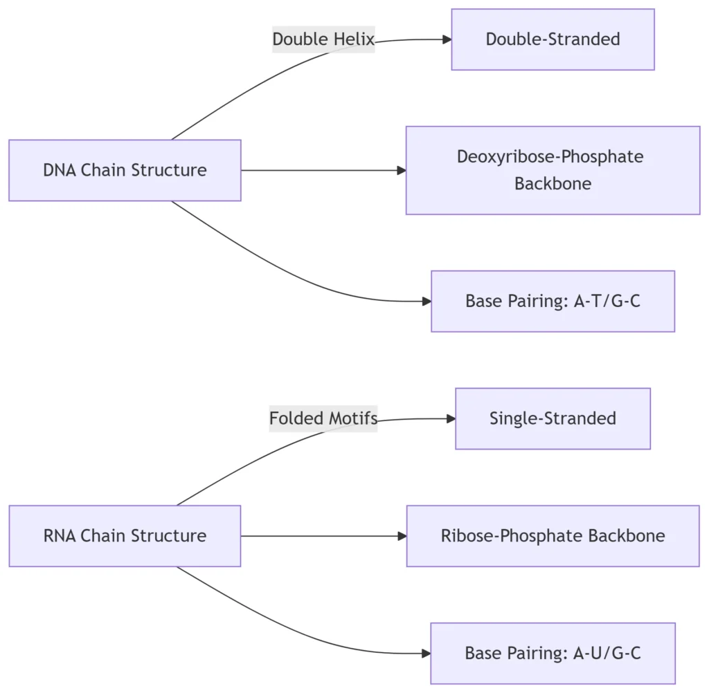 A Comparative Analysis of Nucleic Acid Frameworks