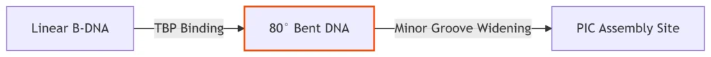 DNA Bending Mechanics