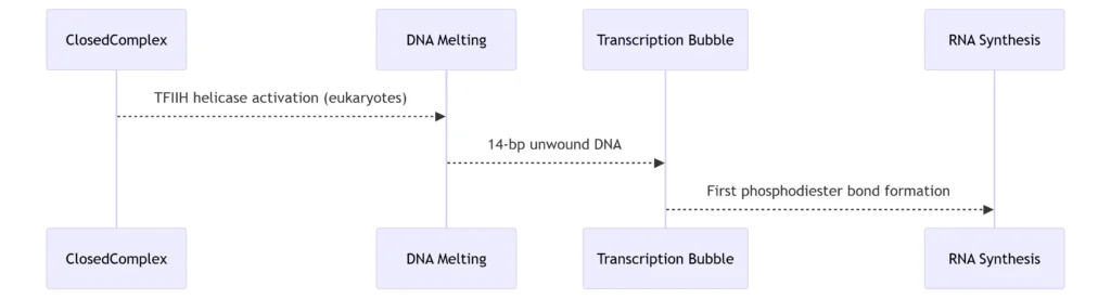 Open Complex Formation