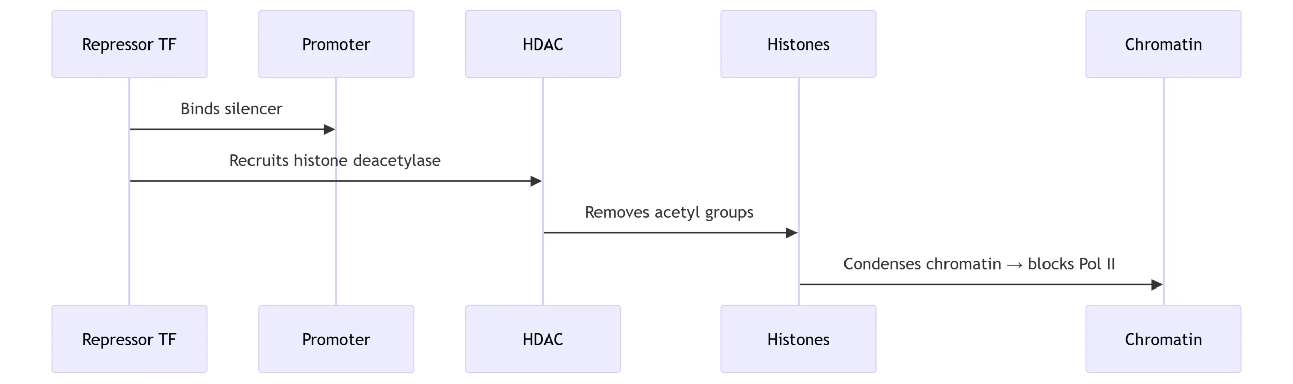 Repression Mechanism: