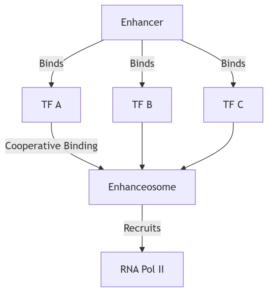 Enhancer Logic