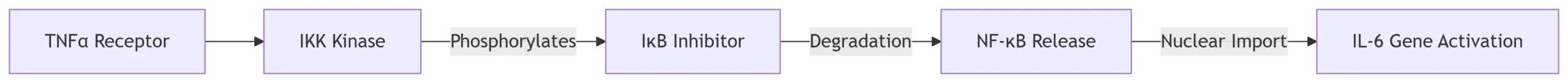 NF-κB Example