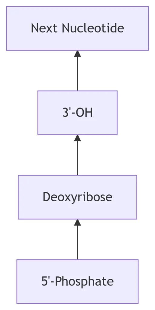 Backbone Chemistry: The Structural Scaffold