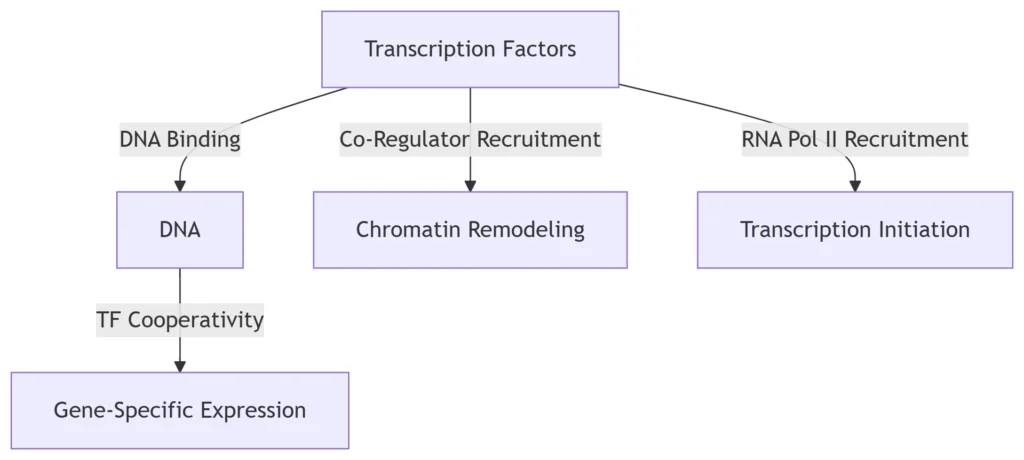 Comprehensive Analysis with Structural and Functional Insights