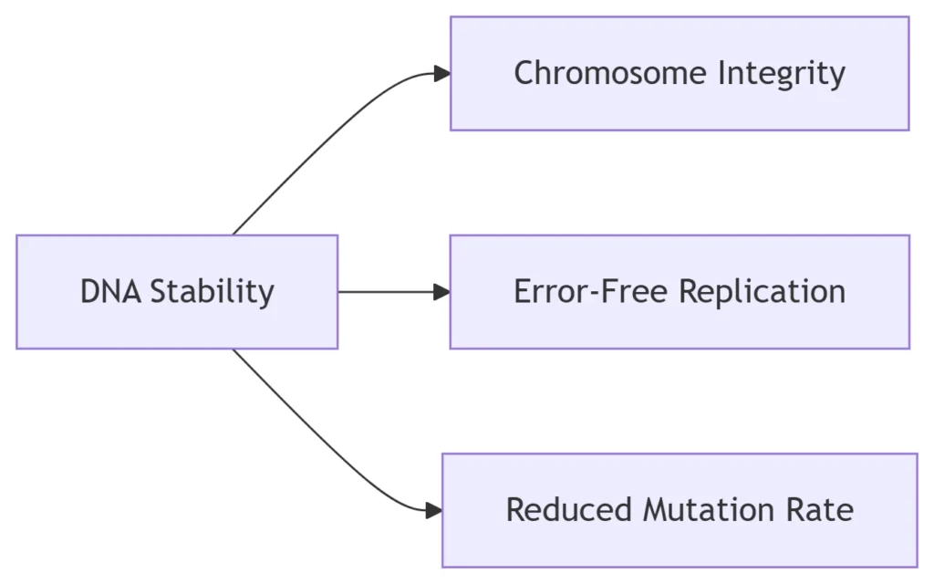 DNA Stability Advantages