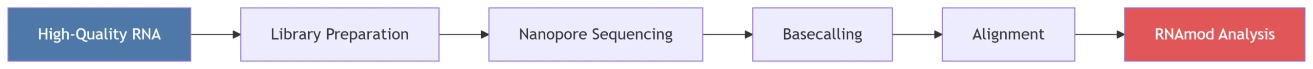 RNAmod Input Workflow
