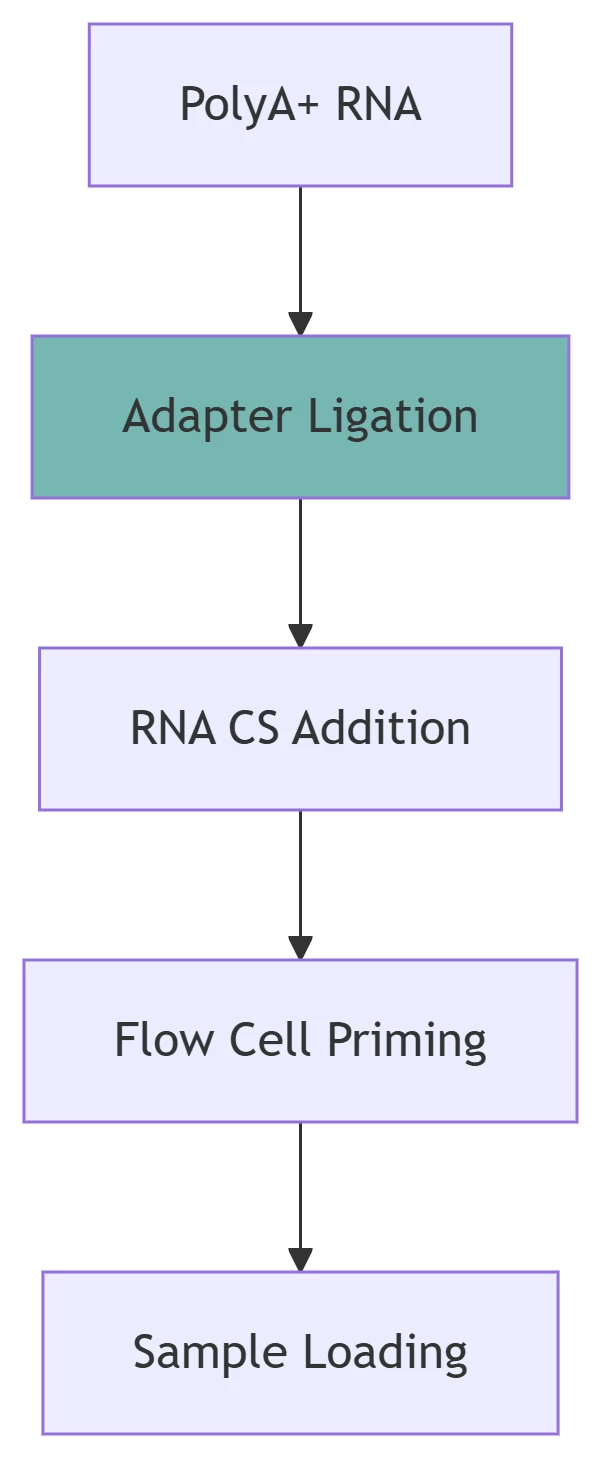End-to-end workflow from RNA extraction to modification detection. 1. Sample Quality Requirements RNA Integrity and Quantity Parameter Minimum Requirement Optimal Value RNA Integrity (RIN) 7.0 ≥8.0 (Agilent Bioanalyzer) Concentration 10 ng/μL 50-100 ng/μL (Qubit) Purity (OD260/280) 1.8 2.0-2.2 PolyA+ Selection Required for mRNA ≥50 ng input Critical Notes: Degraded samples (RIN <7.0) produce truncated reads DNA contamination skews modification profiles 2. Library Preparation Specifications Nanopore DRS Protocol End-to-end workflow from RNA extraction to modification detection. 1. Sample Quality Requirements RNA Integrity and Quantity Parameter Minimum Requirement Optimal Value RNA Integrity (RIN) 7.0 ≥8.0 (Agilent Bioanalyzer) Concentration 10 ng/μL 50-100 ng/μL (Qubit) Purity (OD260/280) 1.8 2.0-2.2 PolyA+ Selection Required for mRNA ≥50 ng input Critical Notes: Degraded samples (RIN <7.0) produce truncated reads DNA contamination skews modification profiles 2. Library Preparation Specifications Nanopore DRS Protocol