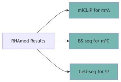Orthogonal Methods