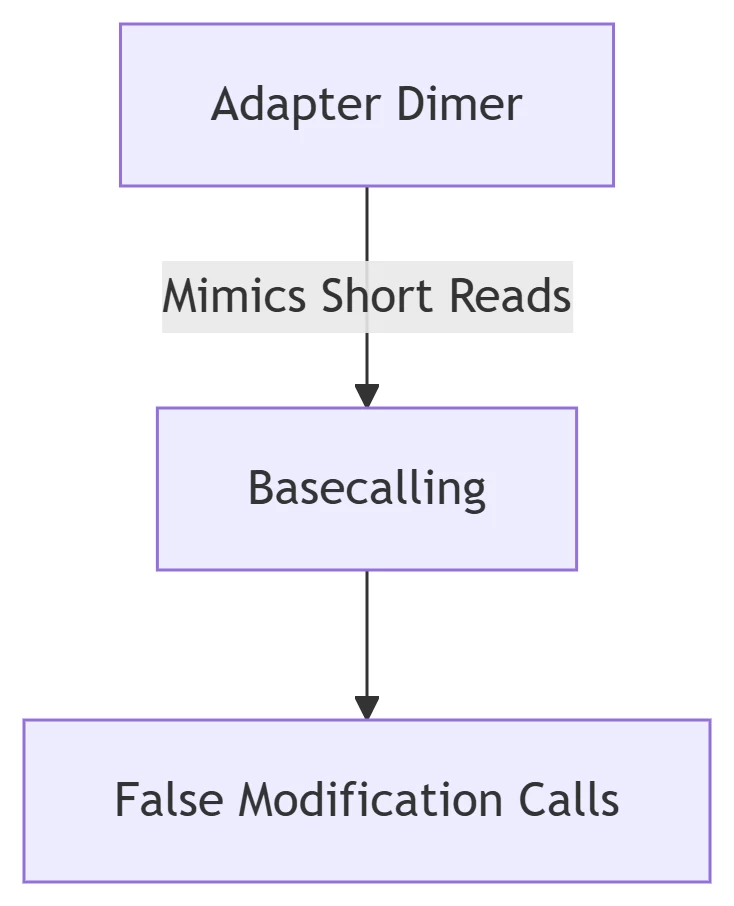 Adapter Dimer Formation