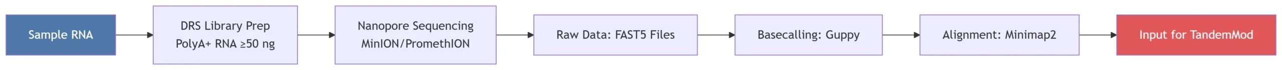 Comprehensive Guide with Workflow Visualizations