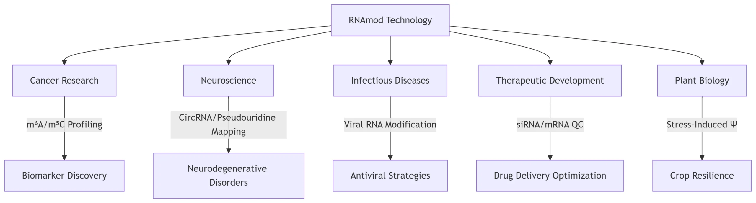 Comprehensive Analysis with Technical and Functional Insights