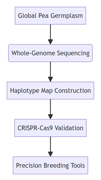 Genetics Genetics