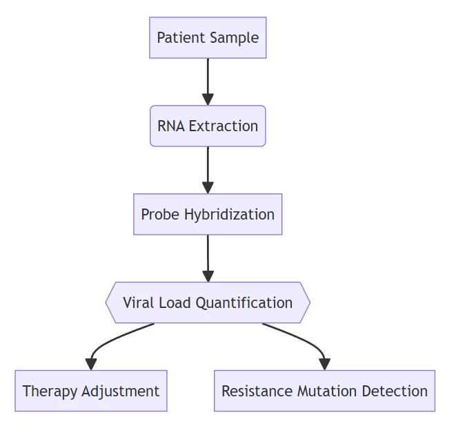 RNA probe