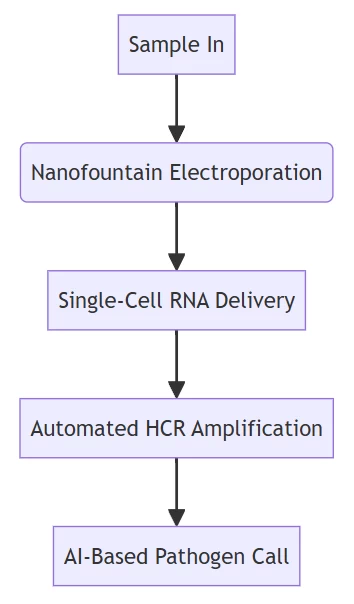 RNA probe