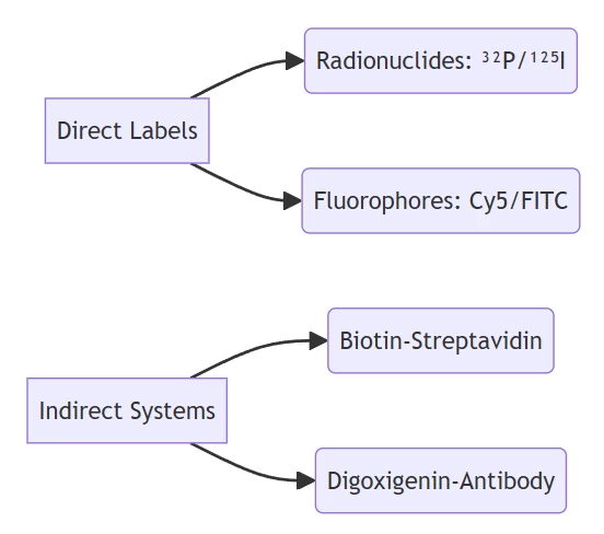 Signal Transduction Modules Signal Transduction Modules