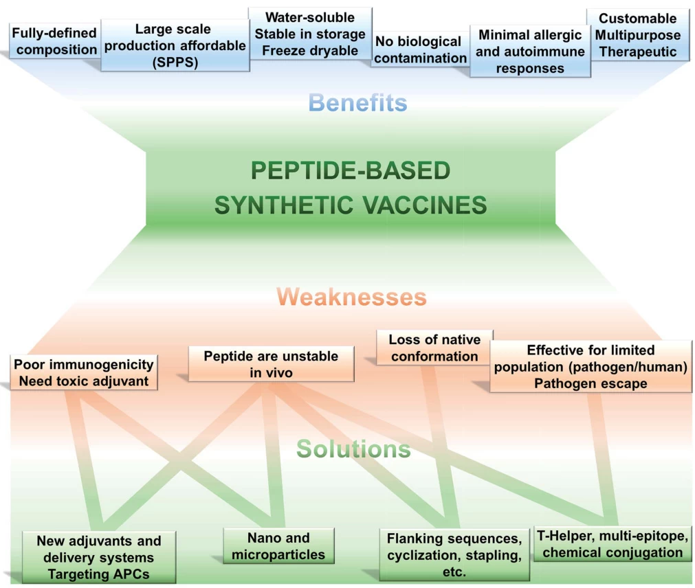 Recombinant Vaccines vs. Synthetic Vaccines: A Comparative Analysis of Design, Mechanisms, and Applications