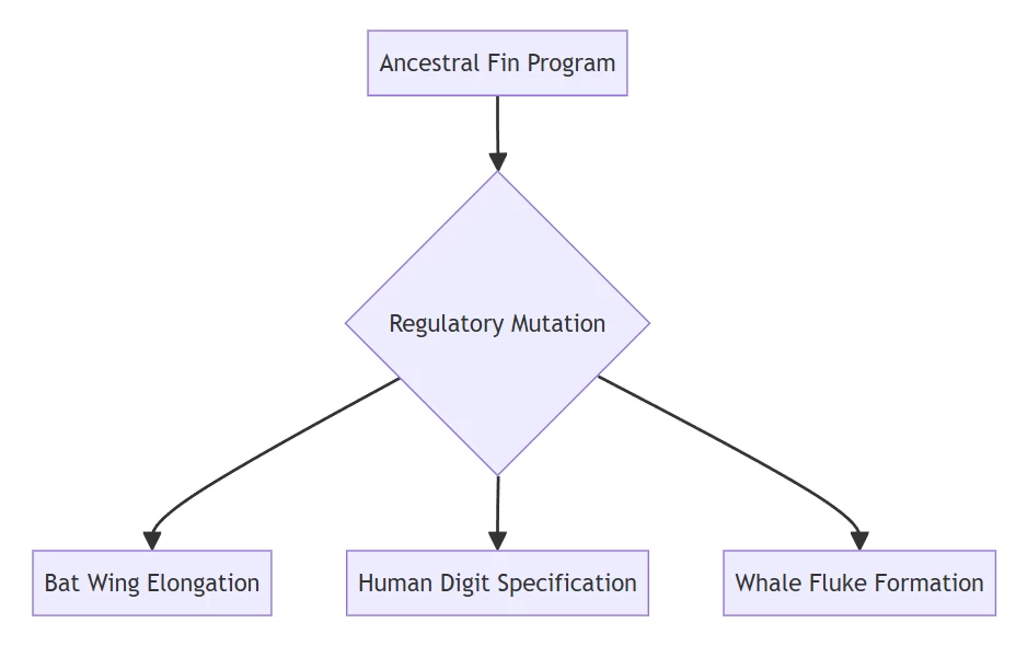 The Evolutionary Genesis of Tetrapod Limbs: Decoding Nature's Architectural Blueprint The Evolutionary Genesis of Tetrapod Limbs: Decoding Nature's Architectural Blueprint