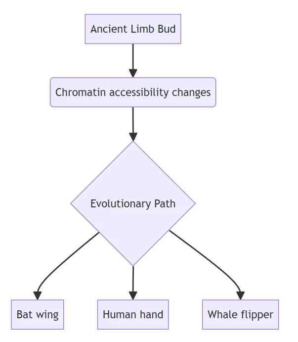 evolimb evolimb