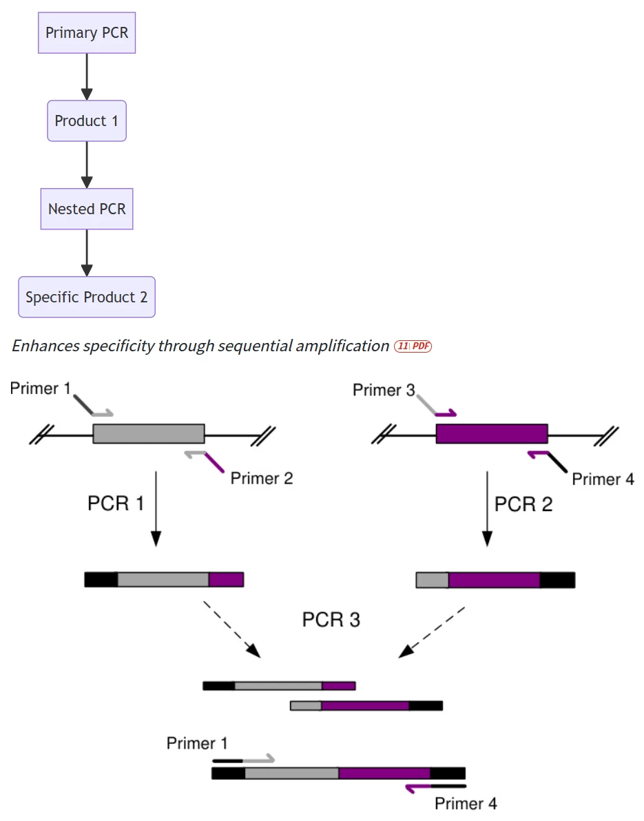 pcr applications