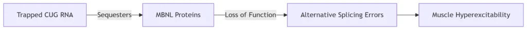 rna transcription
