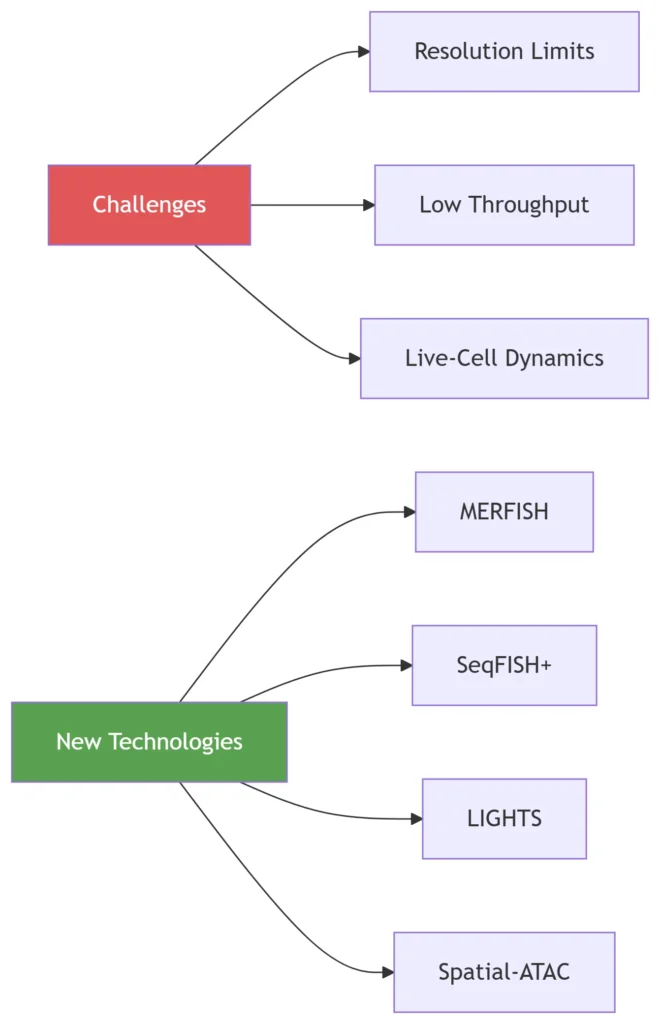 rna transcription