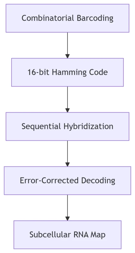 rna transcription