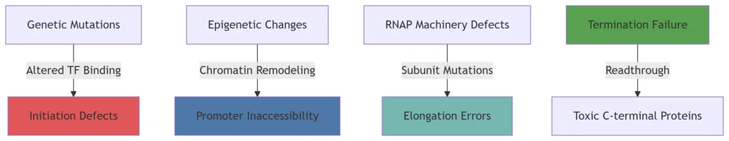 rna transcription
