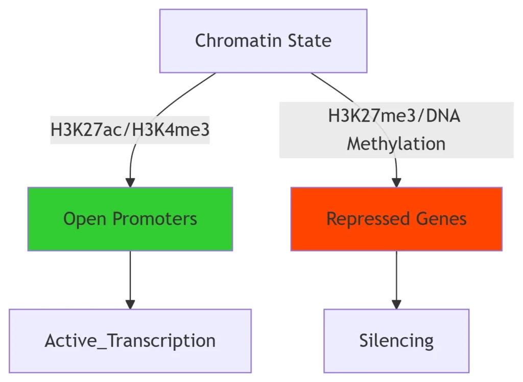 rna transcription